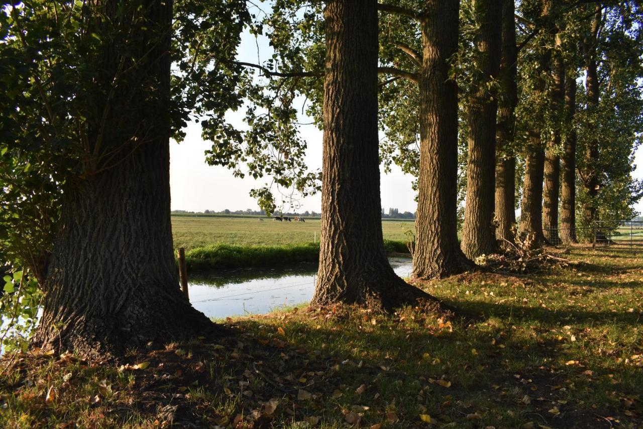 Appartamento Pipowagen "Slapen By Co" Leerdam Esterno foto